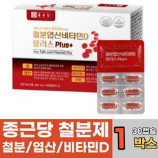 빈혈에좋은영양제