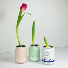 추천3튤립키우기