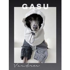 이탈리안그레이하운드우비