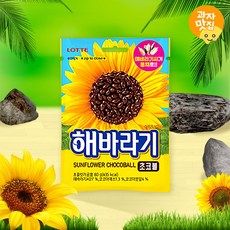 롯데제과 해바라기 초코볼 80g /초콜릿 간식 초콜렛, 1개