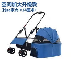 로얄테일즈이동장