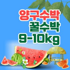 양구두레박수박