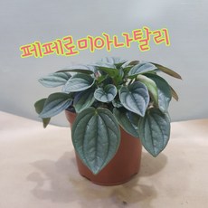 e706950cc906162a75195e2dbe2a514058720ca5d5f631e238838af0a214.jpg