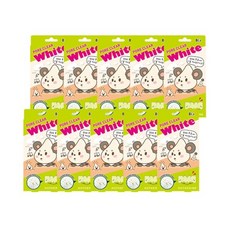 엘리자베스코팩