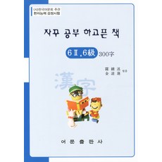 자꾸 공부하고픈 책 한자능력검정시험 6-2급 6급 300자, 어문출판사