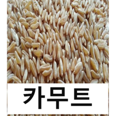 [우리쌀 잡곡] 2020년 햇 카무트(호라산밀) 500g /1kg /2kg 단위로 판매 합니다., 카무트, 개