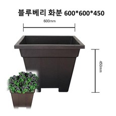 블루베리 화분 정사각화분 (600)(흑색) DR180, 1개