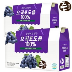 즙쟁이 포도즙 2박스 60포(null), 2100ml, 4개