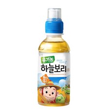 웅진유기농보리차