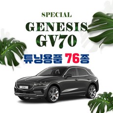 추천4gv70 액세서리