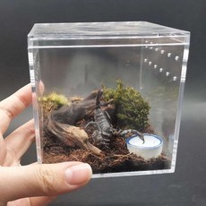 장수풍뎅이집 사육장 키우기 집 타란튤라 전갈 소라게 바바리움 달팽기, B_4구 일체 정사각 7.5x7.5x7.5, 1개
