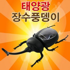 장수풍뎅이진동로봇