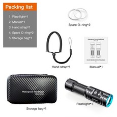 speedlite100