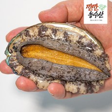 완도 황금전복 6-40미 산지직송 국산 선물세트 활전복 1kg 깐깐농수산, 일반포장, 꼬마전복 26-30미