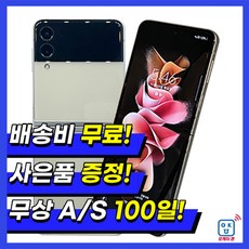 삼성z플립3자급제