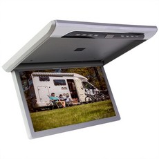 자동차천장용tv