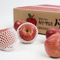 [무료배송]명절 선물세트/추석/설날/한가위/의성 스테비사과 4kg 12과 이상 17과 /월 화 목 발송, 단일상품, 단일상품