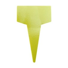 이자벨마랑다스티야