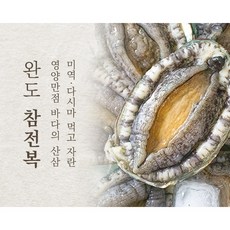 완도 활전복 20~25미 2kg *1개 오후2시주문까지 구이용 캠핑용 산지직송 건강의섬, 1개