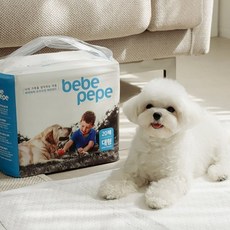  베베페페 국내생산 고흡수 배변패드 대형.베베페페, 배변패드대형2팩40매[PAD-L2], 1개 