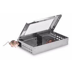 탑클리어초음파