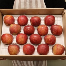 이벤트 맛있는 강원도 꿀 사과 부사 선물세트 5kg, 1박스, 선물용 중대과 16-18과