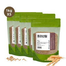 이집트 쌀 호라산 밀, 5kg(1kgX5팩)