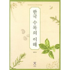 한국단청의이해