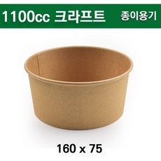 크래프트1100