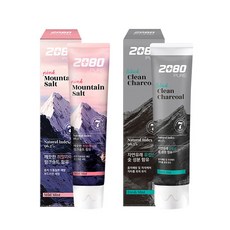 2080 히말라야 솔트 치약 120g/핑크/민트/신제품/애경/불소/구강청결용품, 블랙 차콜민트치약 120g
