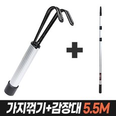 감나무장대