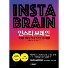 인스타브레인