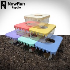 NRC 케이크 습식은신처 사각형 NR-B2 크레산란통, 1개, 크림 파스텔 화이트