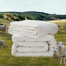 양모이불투인원