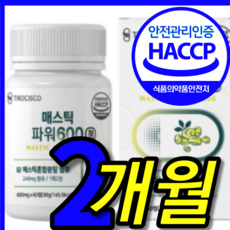 식약처 식약청 인증 인정 프롬 바이오 위앤위 위 건강 엔 이병헌 이병원 매스티나 메스틱 매스틱 맥스틱 검 껌 덩어리 원물 키오스 그리스 산 타블렛 캡슐 캡슌 정 2 박스 개월