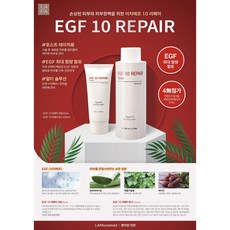 EGF10크림, 1개