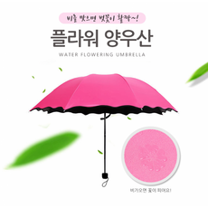 밀라노양산