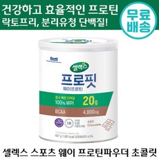 셀렉스 스포츠 웨이 프로틴 파우더 초콜릿 근육 합성 분리 유청 단백질 락토 프리 다이어트 운동 헬스 정품 무지방 단백질 분말 남성 여성 샐렉스 셀랙스 셀렉쓰 보충제 쉐이크 프로핏, 627g, 1개