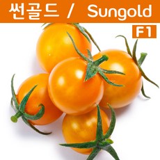 c86db2fde53f1a93c0636d628229693404ce5e8fb5bceaa9c2f2433e5cbf.jpg