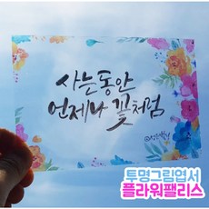 [핫트랙스] 피오피스토리 투명그림엽서-플라워팰리스(10장)