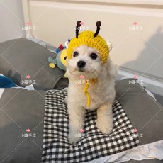 새끼 강아지 고양이 귀여운 모자 꿀벌 악세사리 니트, 생강_XS22 이내