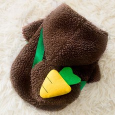 강아지초코송이