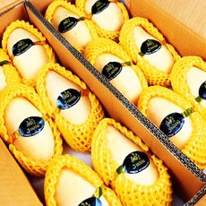 항공직수입 고당도 프리미엄 무지개망고 골드망고 산지직송 2kg 3kg 5kg(12과~14과 내외) 대과 특대과, 골드망고 5kg(12~14과내외)