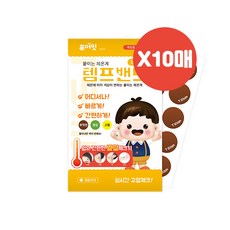 템프밴드 TOP01