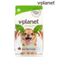 횡성워터플래닛