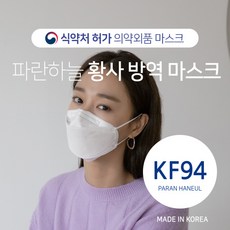 장하늘독해기술