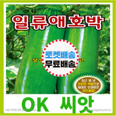 [OK씨앗] [일류애호박] 애호박씨앗 종자(오케이씨앗), 1개