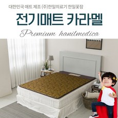 한일꽃잠전기매트