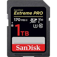 SanDisk 1TB Extreme PRO SDXC UHS-I Card - C10 U3 V30 4K UHD SD Card - SDSDXXY-1T00-GN4IN 999999, 상세 설명 참조0