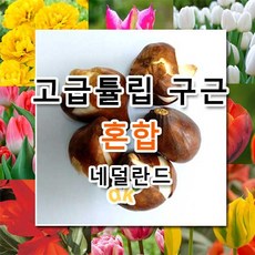 485501d97a746eff87ccfdeec67247a218f8a60e727449bdc2ad8f8b7943.jpg